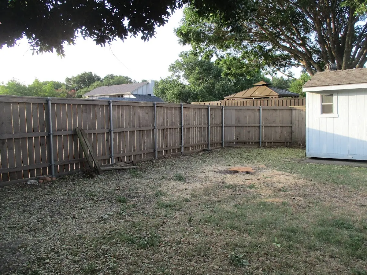 Cleared yard after professional tree removal in Triadelphia