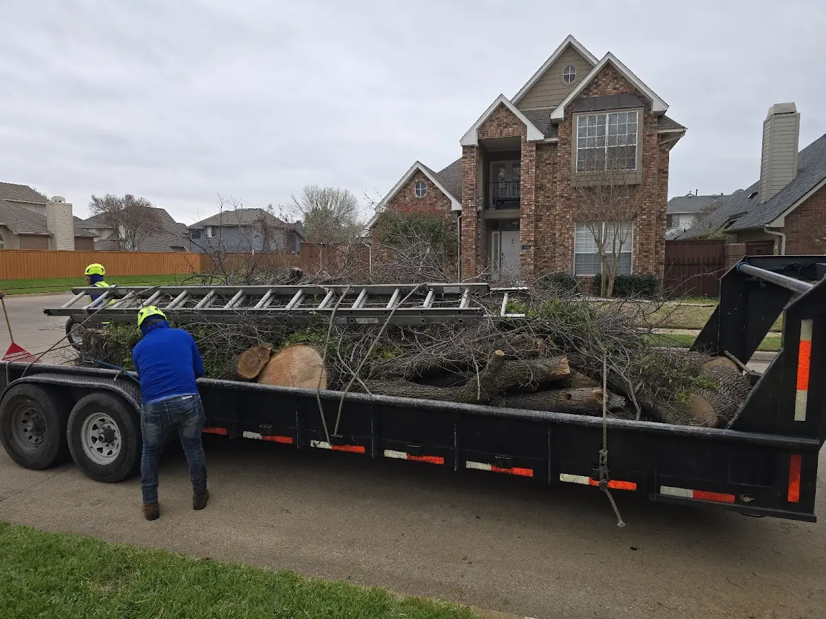 Expert Tree Removal with proper safety equipment in Triadelphia